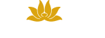Vietnam Airlines